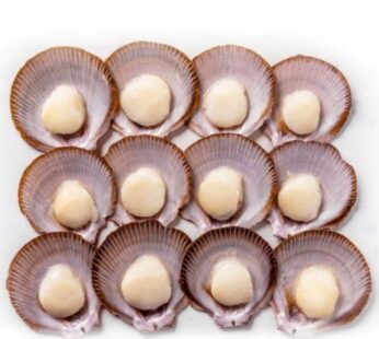 1/2 Shell Scallops Doz