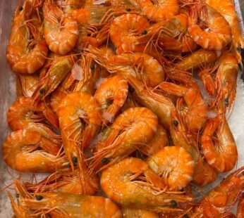 Cooked Jumbo Prawn (U10)