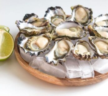 Sydney Rock Oyster