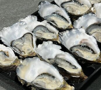 Pacific Oyster Dozen
